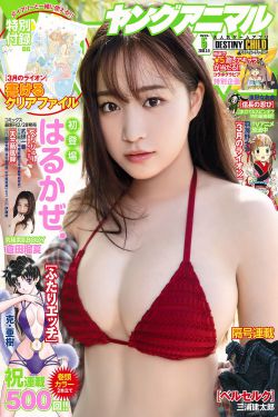 明星大侦探第六季免费观看完整版高清