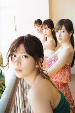 红蜘蛛3水中花