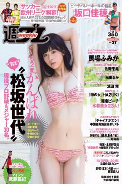 欢天喜地天蓬传