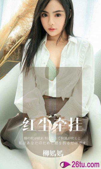 铁面无私电视剧